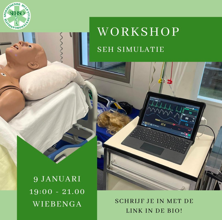 SEH_Simulatie.png